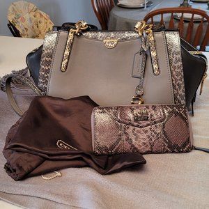 Coach Dreamer 36Colorblock Heather Grey Snakeskin Detail and Python Long Wallet